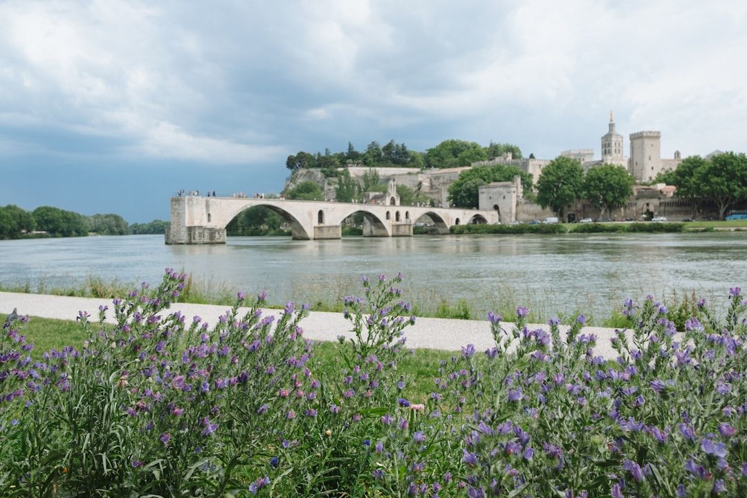 Provence and the south in Avignon