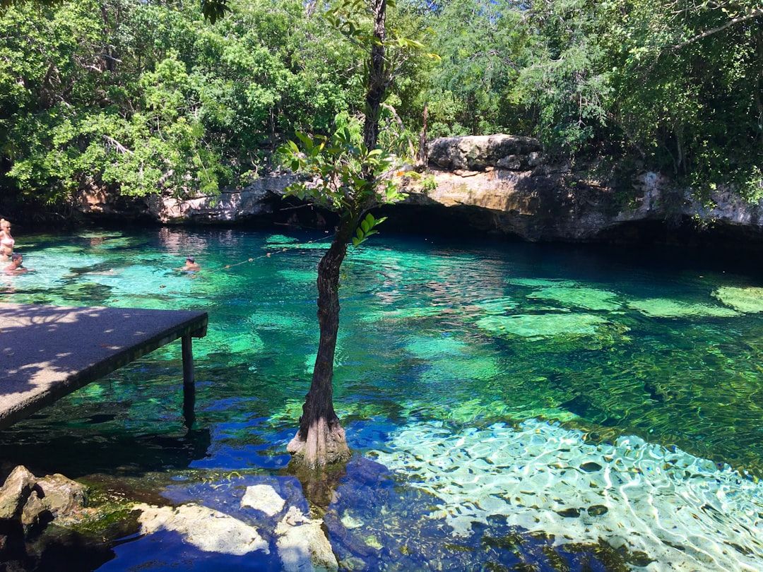 Cenotes in Playa del Carmen