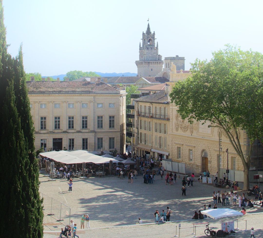 Wine regions in Avignon