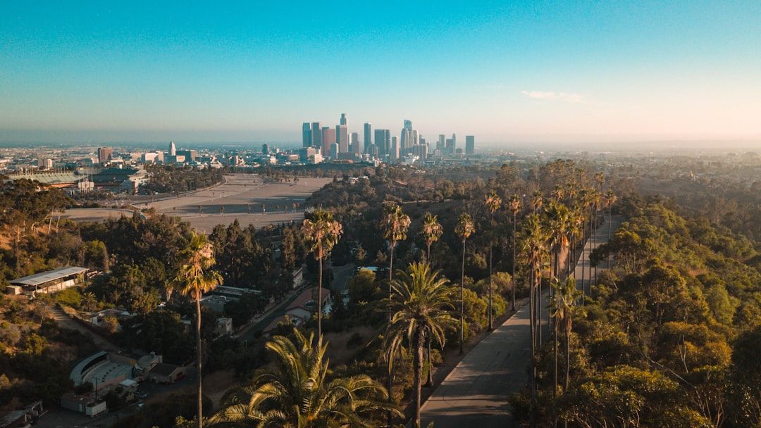 When Last-Minute Booking Actually Saves Money
